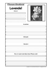 Pflanzensteckbrief-Lavendel-SW.pdf
